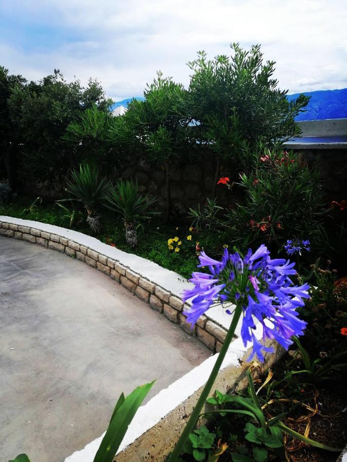 Family Apartments K&M Pag Town Exterior foto
